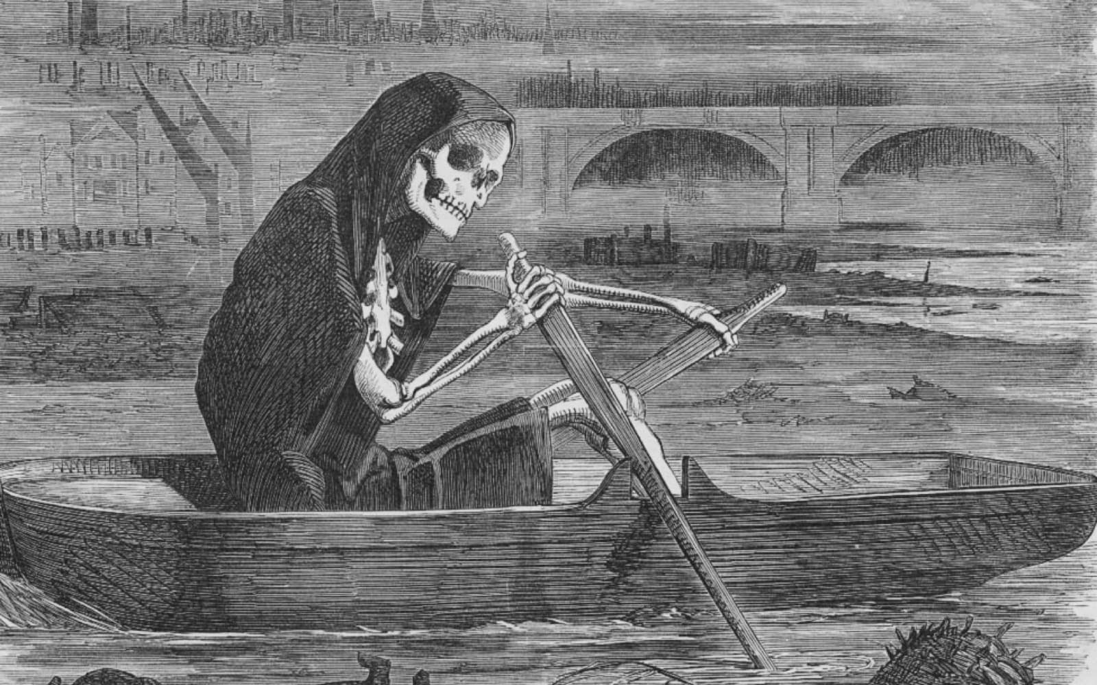 Punch cartoon of Death as a skeleton rowing a small boat on the filthy Thames, with dead animals floating in the water