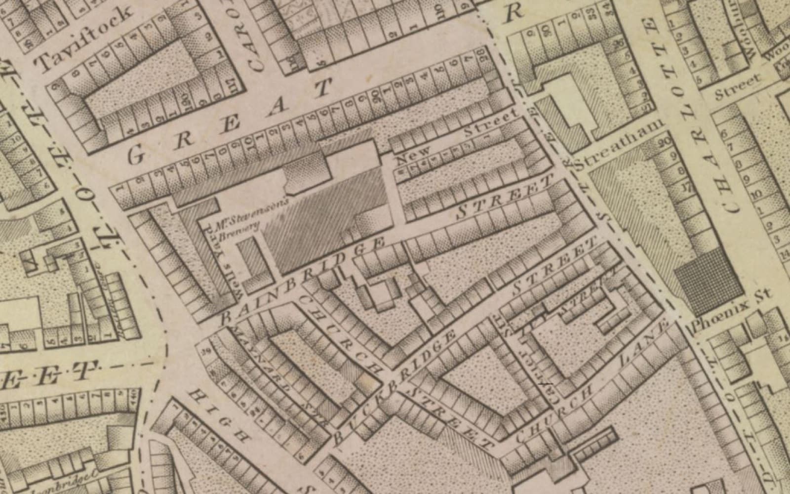 Section of an old map showing streets around a brewery, including Great Russell Street, New Street and Bainbridge Street